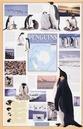Buy Penguins of the Antarctic at Art.com